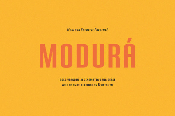 Modura: A Bold Choice for Modern Design